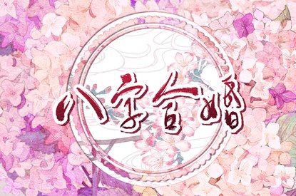 择吉老黄历皇历,皇历择吉,择吉老皇历